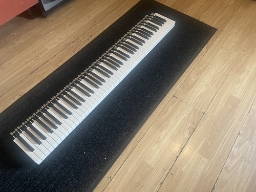 Korg pa5x keys this - korg, 88