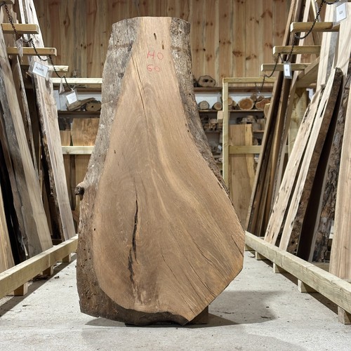 Holm oak plank board waney - plank,