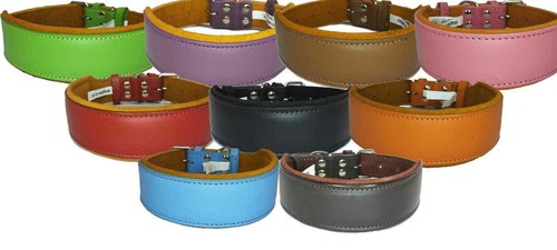 Leather dog collar staffy - dog,