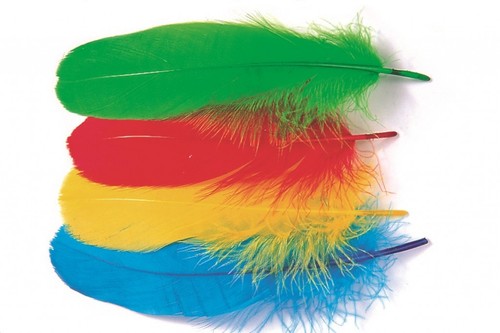 Veniard goose feathers - feathers, –