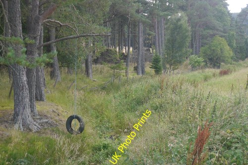 Photo 6x4 tyre swing - 6x4,