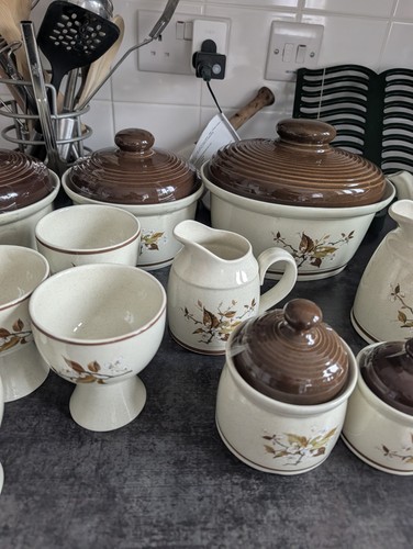 Royal doulton lambethware wild - doulton,