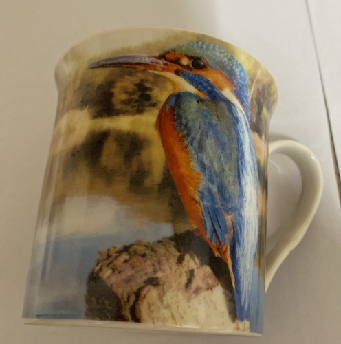 Kingfisher the leonardo - kingfisher,