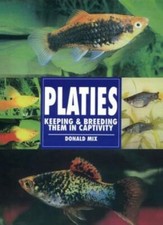 Platies-Donald Mix