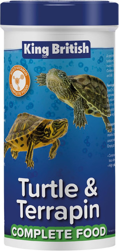 King british turtle - king, –