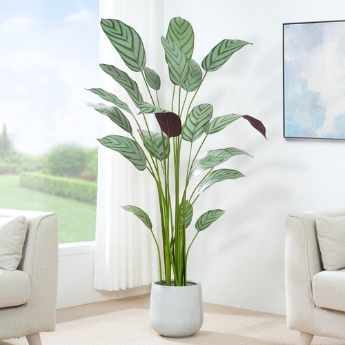 Artificial bird paradise - bird, of