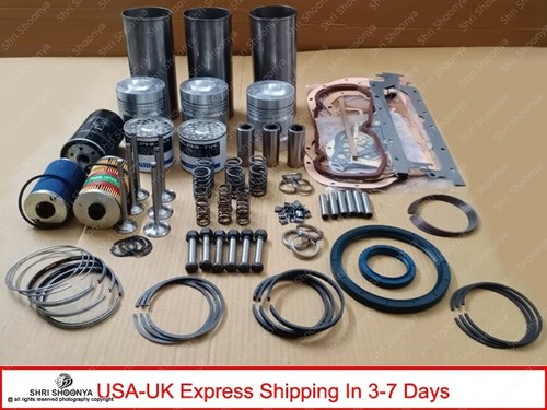 Engine rebuild kit - kit, for