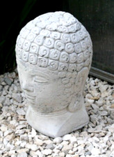 Buddha Head Stone Garden