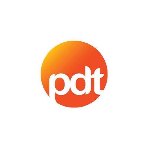 Pdt acoustic guitar - acoustic, bag