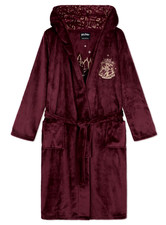 Harry Potter Hogwarts