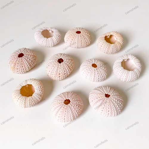 Natural light pink sea - light,