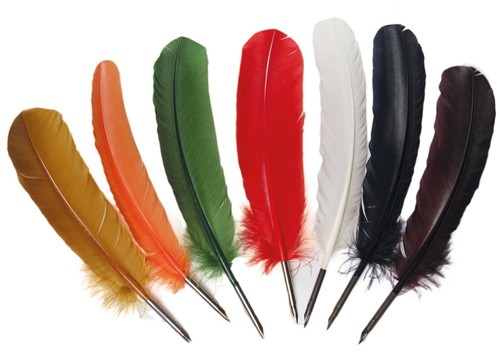 Manuscript feather quill - feather,