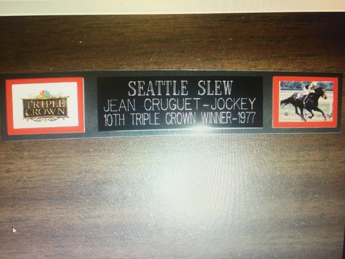 Seattle slew - slew, (horse