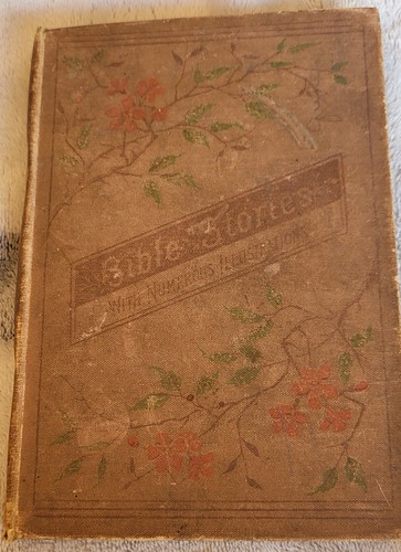 Antique 1900 bible - 1900, stories