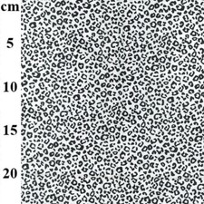 Animal Leopard print Cheetah