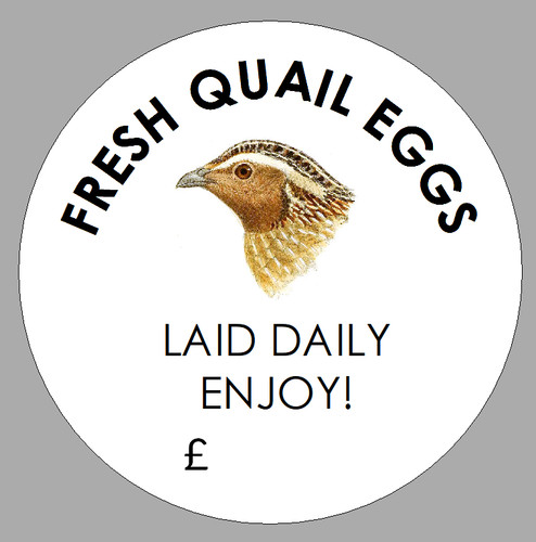 Personalised coturnix quail - personalised,
