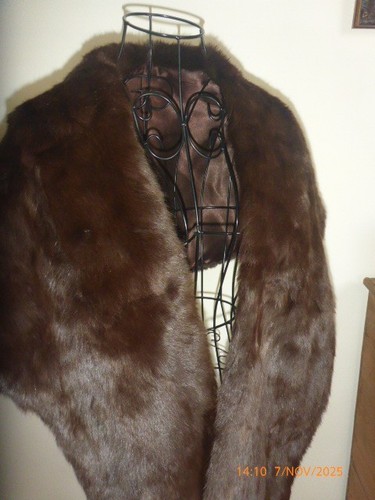 Vintage 1940s 50s - 1940s/50s, stole