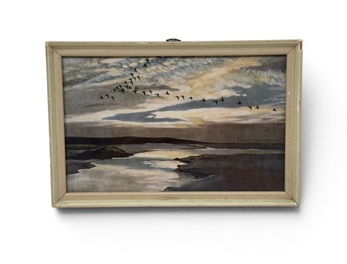 Vintage peter scott - vintage,