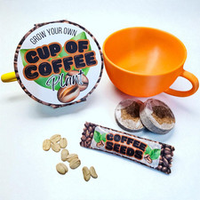 Grow Your Own Cup Of Coffee