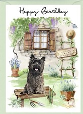 Cairn Terrier Dog (4"x 6") Birthday Card - blank inside - by Starprint