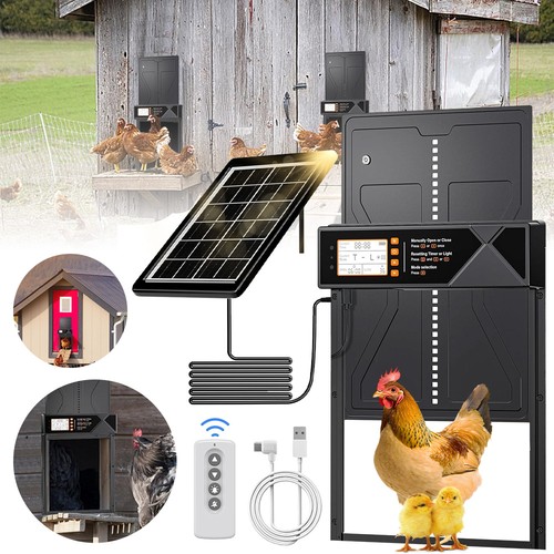 Automatic solar chicken coop - solar,