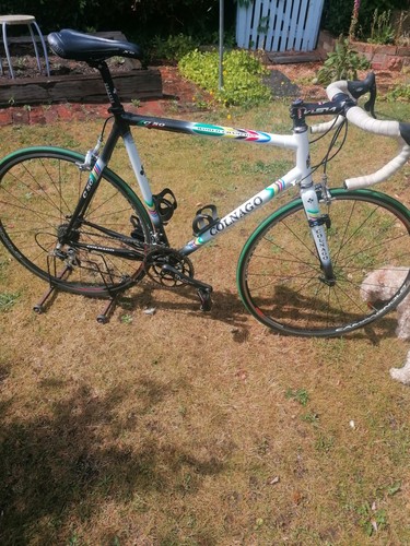 Colnago c50 world championship - c50,