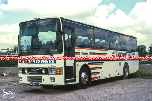 Coach photo badgerline - coach,