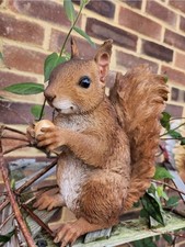 Squirrel Ornament Garden