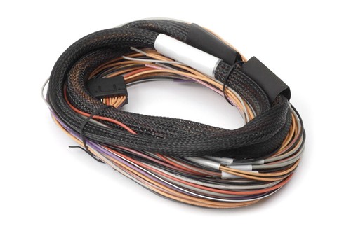 Haltech expander flying - haltech, io
