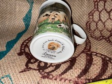 Dunoon Rare Breeds Gloucester Old Spot Pigs Stoneware Mug Made In Scotland