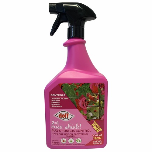 Doff rose shield - rose, bug