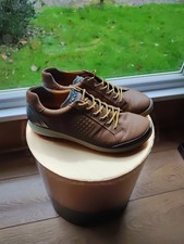 Ecco Biom Golf Shoes