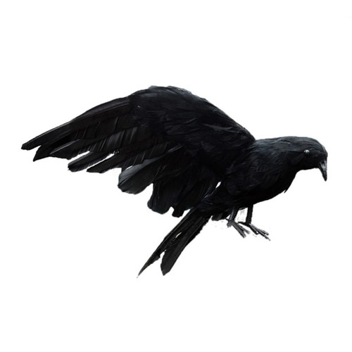 Halloween fake crow - halloween, black