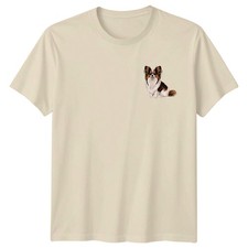 Papillon Dog Papillon Dogs