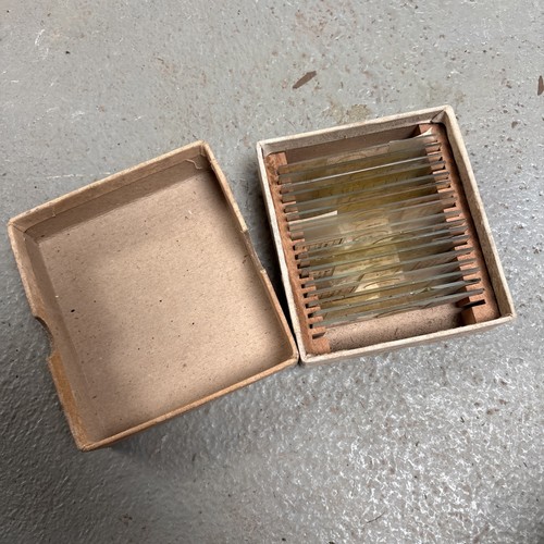 Vintage microscope slides - vintage, in