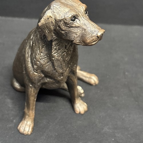 Frith bronze labrador - labrador, dog