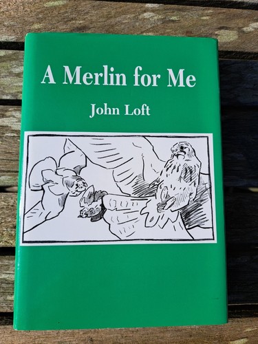 Falconry merlin for me by - merlin,
