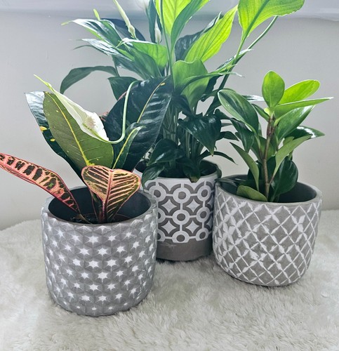 Set concrete pots - 3,