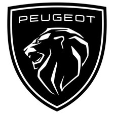 Genuine Peugeot - Locking Nut