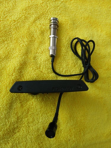 Fishman rare earth mic - fishman,