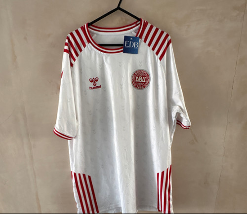 Denmark 2022 away special - away,