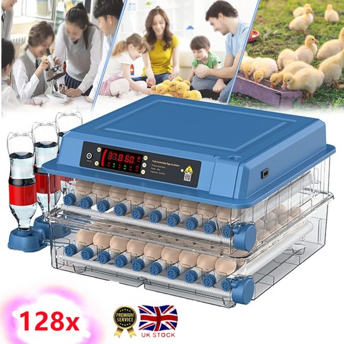 128 egg automatic digital - egg,