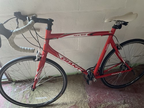 Giant men road bike - men's,