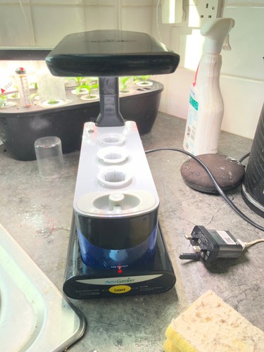 Aerogarden sprout - aerogarden,