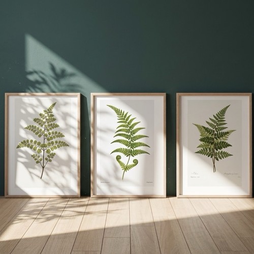 Set botanical fern - set,