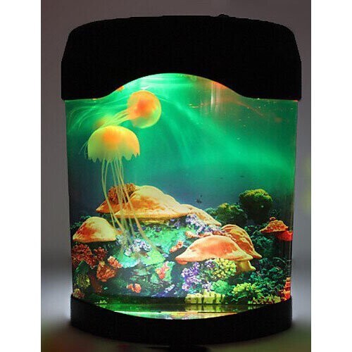 Jellyfish lava tank - lava, aquarium