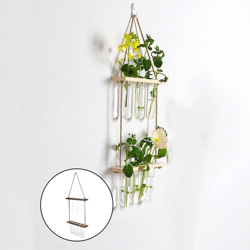 Wall hanging terrarium - wall,
