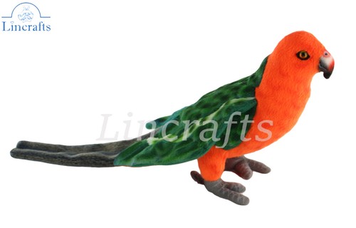 Hansa king parrot - hansa,