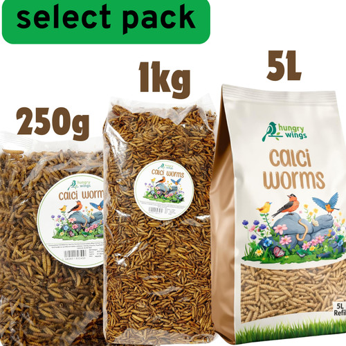 Premium wild bird food - wild,