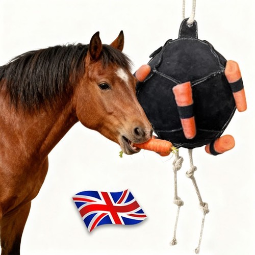 Horse carrot feeding ball - carrot, toy